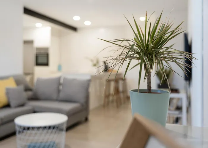 El Rincon House Tenerife Tijoco 阿德耶